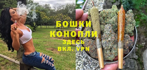 PSILOCYBIN Абдулино