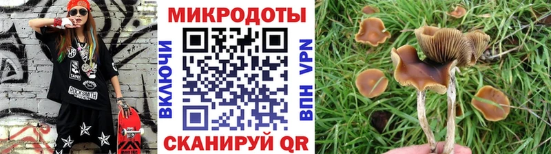 Галлюциногенные грибы прущие грибы Балахна